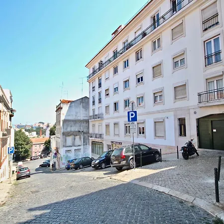 Daire Akicity Real Blueberry Lisboa